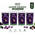 Pack of 4 | Jamun Crunch | Freeze Dried Jamun